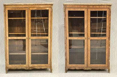 Pair of bookcases in rosewood and satinwood,...