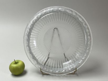 LALIQUE France - Coupe modèle marguerite...