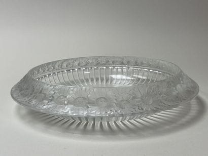 LALIQUE France - Coupe modèle marguerite...