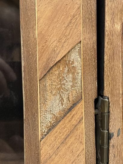 Pair of bookcases in rosewood and satinwood,...