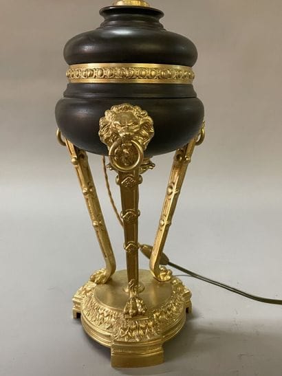 Hot water bottle lamp, bronze and black patinated...