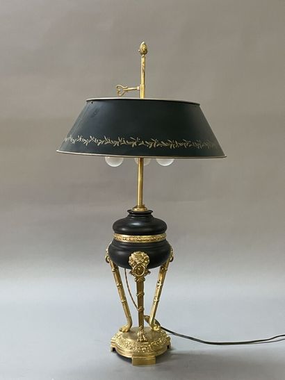 Hot water bottle lamp, bronze and black patinated...