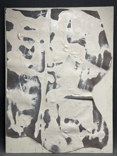 Pierre-Yves HERVY-VAILLANT (1955)
