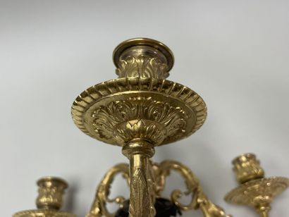 Paire de candelabres en bronze patiné et...