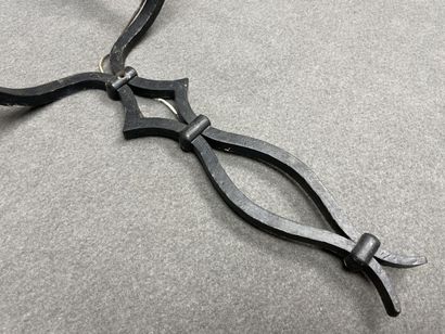 Paire de grandes appliques en fer forgé noir....