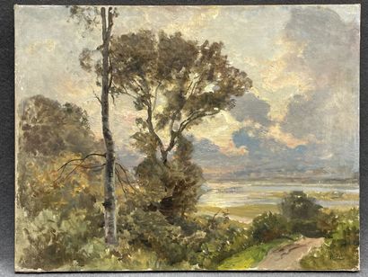 Henri ZUBER (1844-1909)
Paysage mediterranéen.
huile...