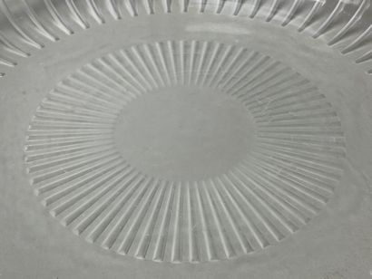 LALIQUE France - Coupe modèle marguerite...