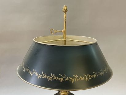 Hot water bottle lamp, bronze and black patinated...