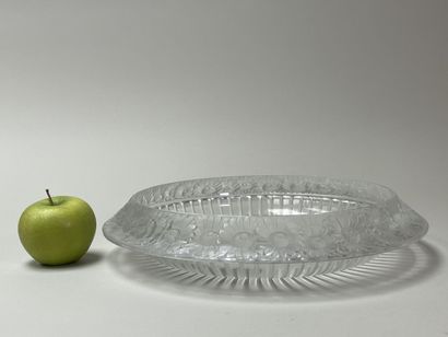 LALIQUE France - Coupe modèle marguerite...