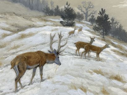 Georges Frédéric RÖTIG (1873-1961)
Deer and...