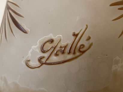 Establishments GALLÉ:
Large multi-layered...
