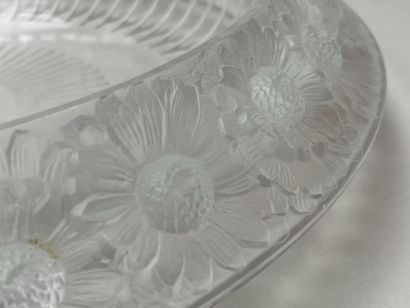 LALIQUE France - Coupe modèle marguerite...