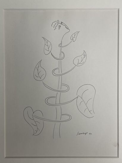 Léopold SURVAGE (1879-1968)
Plante et visage...