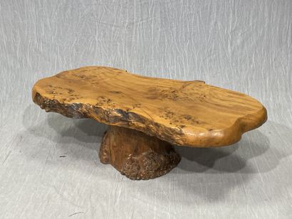 Table basse en orme massif, plateau monoxyle...