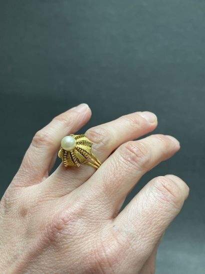 Dome ring in brilliant and amatized gold,...