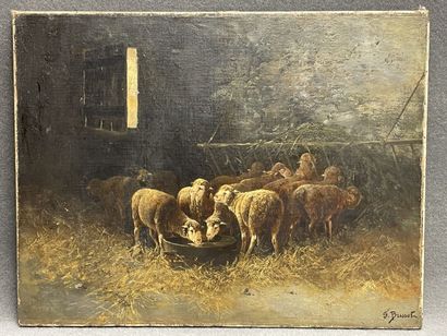 Franck BRISSOT (end of XIX°)
The Sheep in...