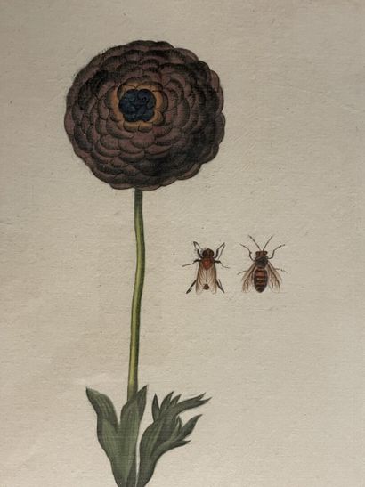 LA ROCHE LAFFITTE (1943) 
Fleurs et insectes.
Paire...