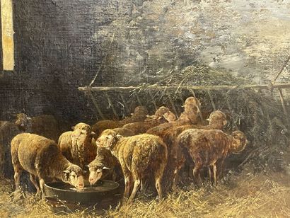 Franck BRISSOT (end of XIX°)
The Sheep in...