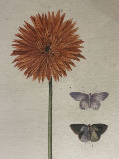 LA ROCHE LAFFITTE (1943) 
Fleurs et insectes.
Paire...