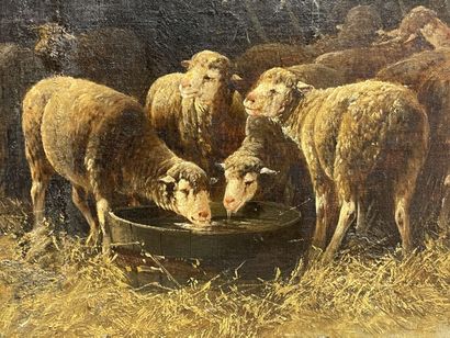 Franck BRISSOT (end of XIX°)
The Sheep in...