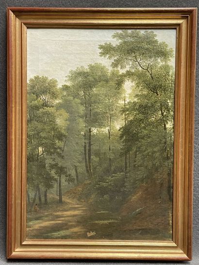 Agathon Du PETITBOIS (1773-1856). After Jean...