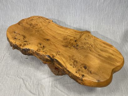 Table basse en orme massif, plateau monoxyle...