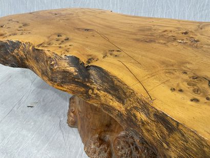 Table basse en orme massif, plateau monoxyle...