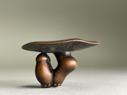 Carved wood netsuke with a mushroom.
Japan...