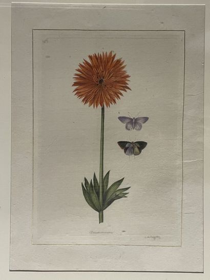 LA ROCHE LAFFITTE (1943) 
Fleurs et insectes.
Paire...
