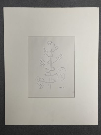 Léopold SURVAGE (1879-1968)
Plante et visage...