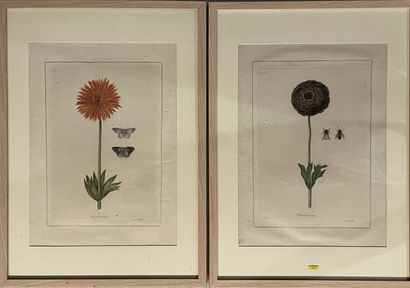 LA ROCHE LAFFITTE (1943) 
Fleurs et insectes.
Paire...