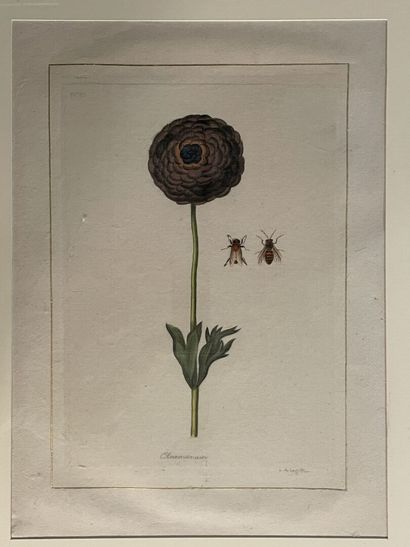 LA ROCHE LAFFITTE (1943) 
Fleurs et insectes.
Paire...