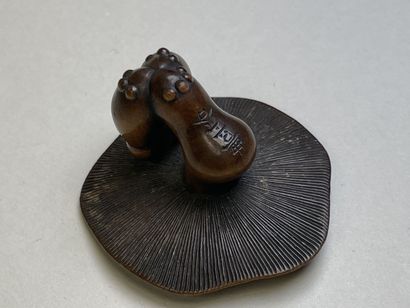 Carved wood netsuke with a mushroom.
Japan...