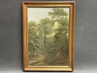 Agathon Du PETITBOIS (1773-1856). After Jean...