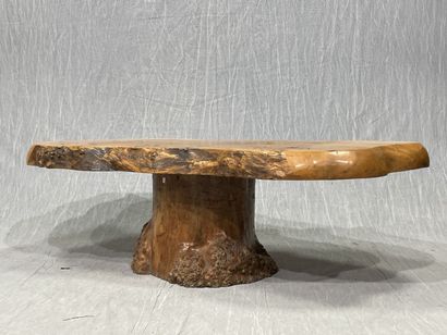 Table basse en orme massif, plateau monoxyle...