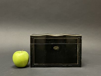 Cigar and tobacco humidor in blackened wood...