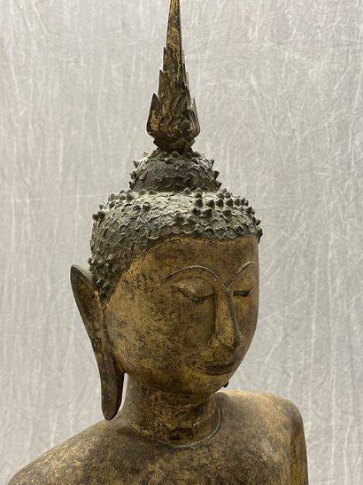 Standing Buddha
Expressive face, dressed...