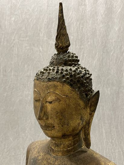 Standing Buddha
Expressive face, dressed...
