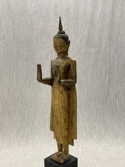 Standing Buddha
Expressive face, dressed...