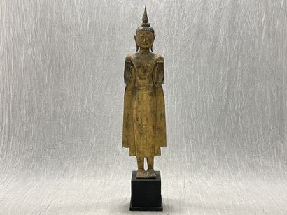 Standing Buddha
Expressive face, dressed...