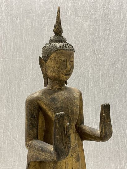 Standing Buddha
Expressive face, dressed...