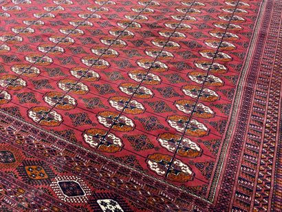 Large oriental rug. 
525 x 350 cm.