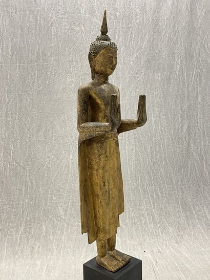 Standing Buddha
Expressive face, dressed...