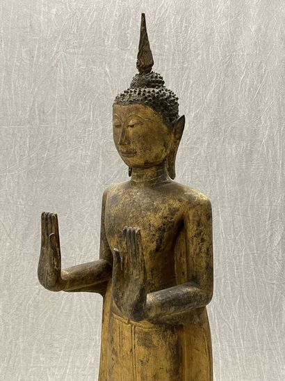 Standing Buddha
Expressive face, dressed...