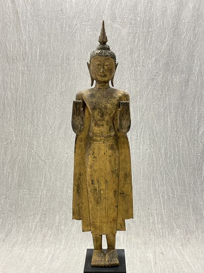 Standing Buddha
Expressive face, dressed...