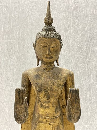 Standing Buddha
Expressive face, dressed...