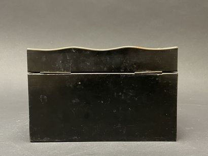 Cigar and tobacco humidor in blackened wood...