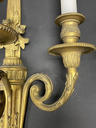 Paire d'appliques en bronze doré. à trois...