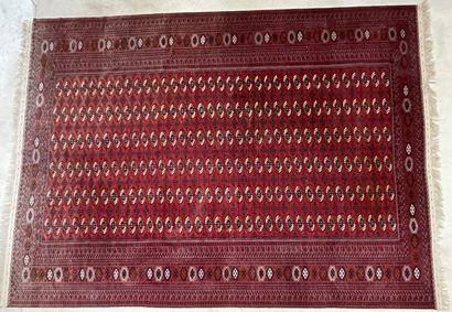 Large oriental rug. 
525 x 350 cm.