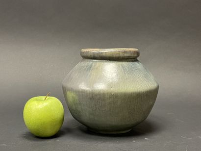 Pierre-Adrien DALPAYRAT (1844 - 1910)
Vase...